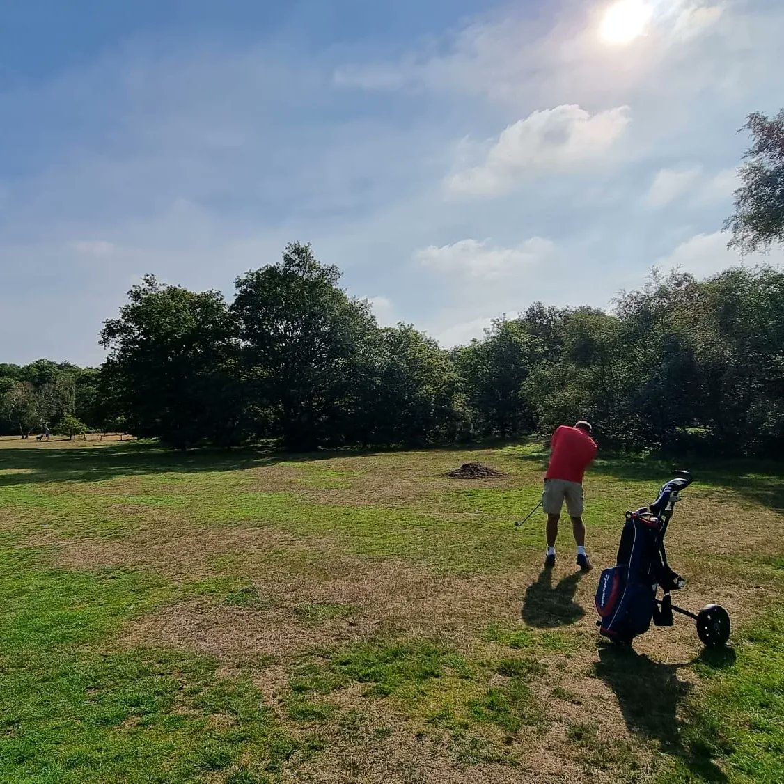 Wimbledon Common Golf Club tweet media