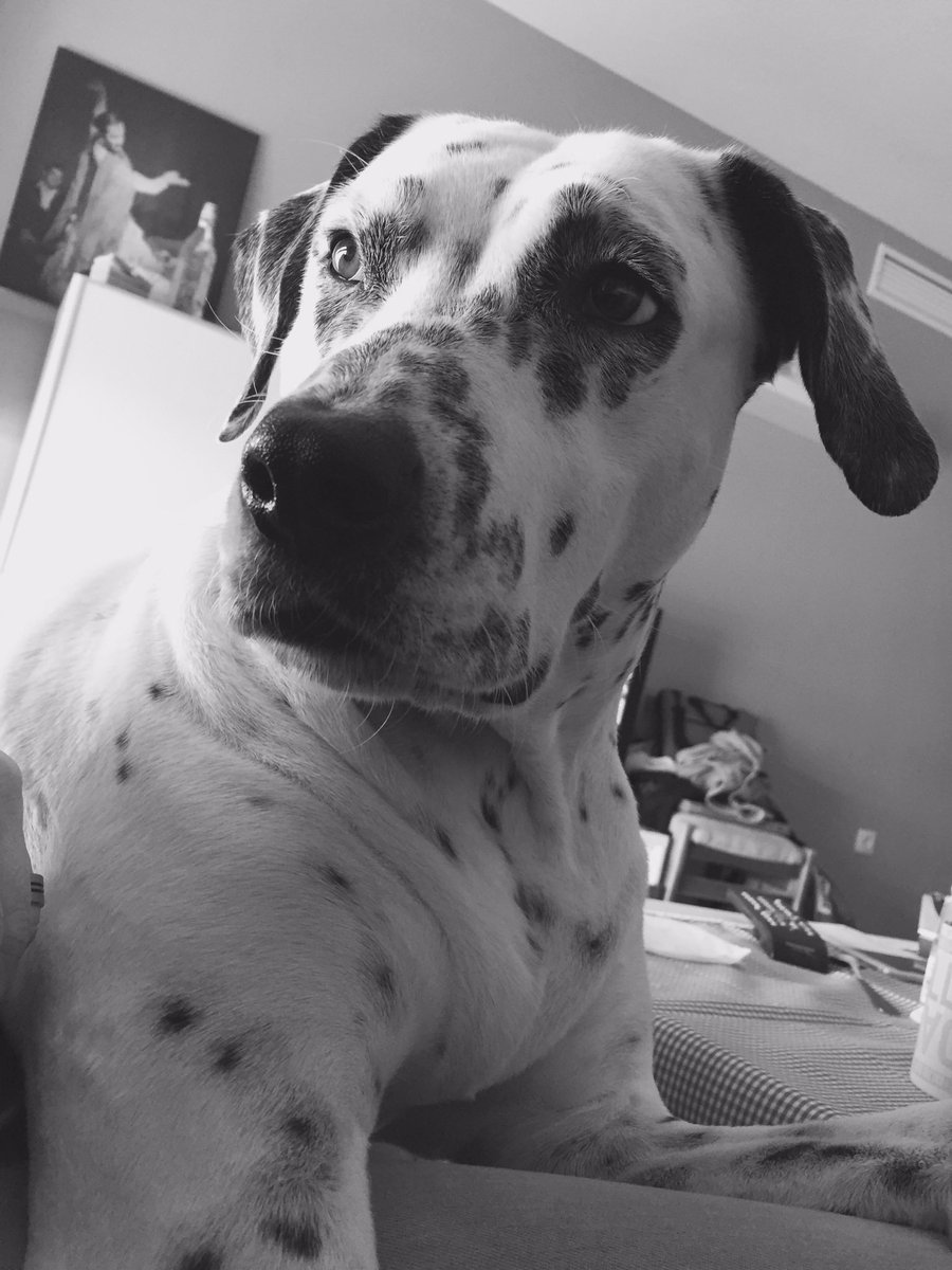 Irene.Fer. tweet media