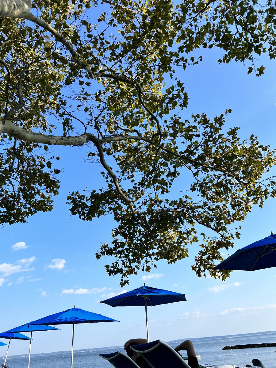 Muskoka was fun but I love my NY life. Hard for me to sit still, glad to be back at our #beach club.   
#LongIsland #NYC #Hamptons