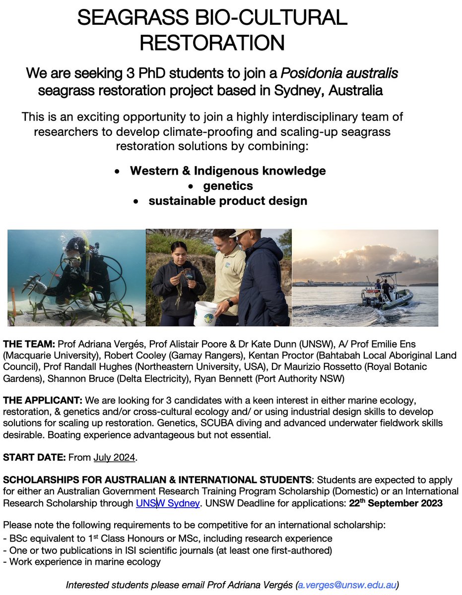 Looking for 3 PhD students to join exciting new #seagrass #restoration project (starting July 2024) focusing on #Indigenous knowledge, #genetics & scaling up solutions. Deadline for scholarship applications: 22 Sept 2023 - get in touch if interested unsw.edu.au/research/hdr/s…