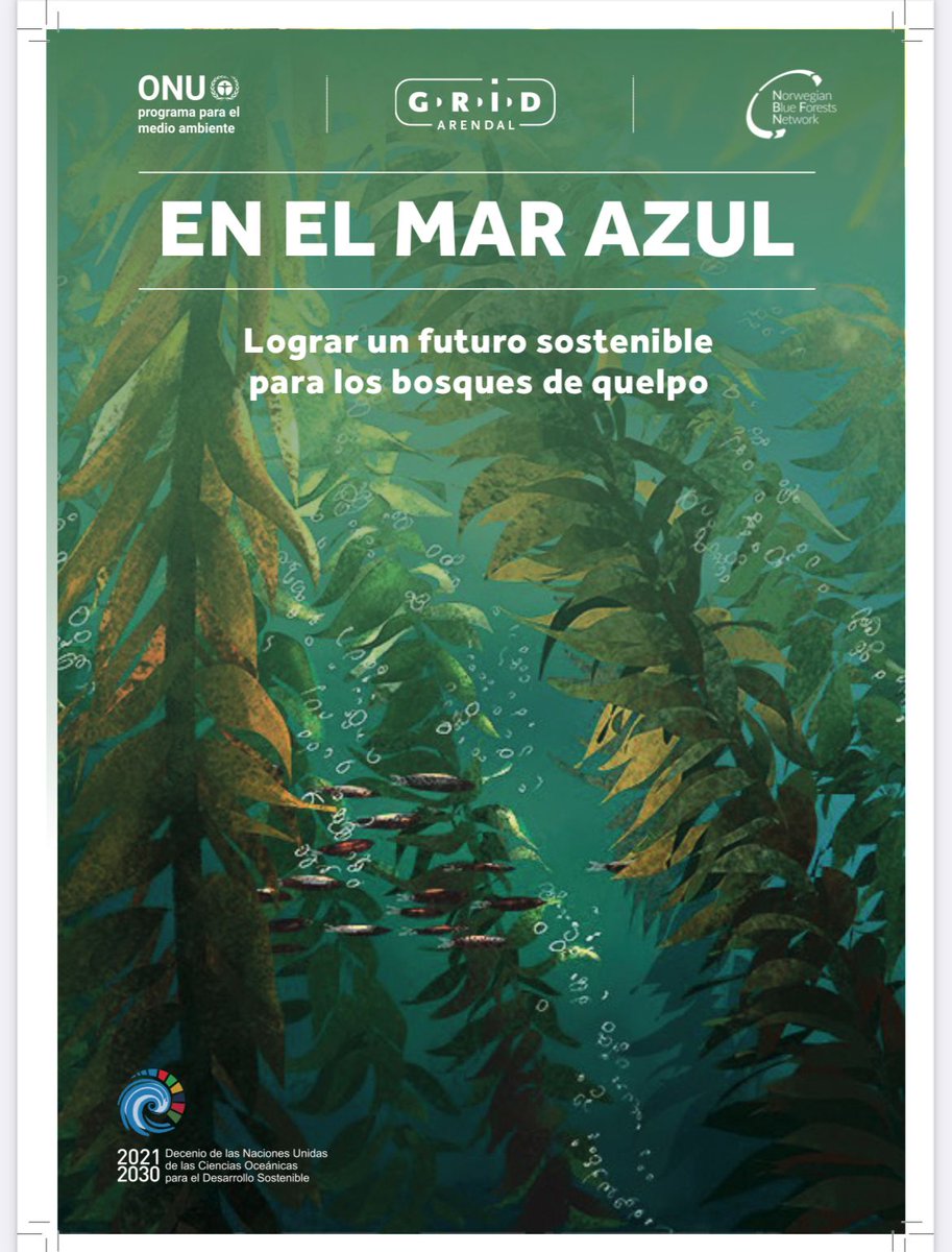 BosquesAzulesCL's tweet photo. ¡ Tenemos que revertir esto !

Reciente informe global de la @ONU_es , sobre estado de bosques huiro en el mundo, llamado #intotheblue, muestra a #Chile como el pais que más deforesta: 48% de cosecha mundial de macroalgas pardas es chilena.

El informe también proporciona una serie de opciones de gestión que pueden utilizarse para preservar estos extraordinarios ecosistemas y apoyar a las personas y las economías que han dependido de ellos durante generaciones.

➡️Recordemos que los bosques de algas proporcionan valiosos servicios ecosistémicos, como el apoyo a la pesca costera, mitigación del cambio climático y protección de la biodiversidad. El informe subraya la importancia de combinar los conocimientos socioculturales con las valoraciones económicas para reforzar los argumentos a favor de dedicar recursos a la conservación, la gestión sostenible y la restauración del Huiro, el ecosistema de vegetación marina más extenso del mundo.
.
.
¿vamos por esto @nico_grau @julio_salas @Maisa_Rojas ?
.
Apoyo hay ➡️🫶🆙
@unep_espanol @CMNUCC @ONUChile @JaviMoralesDipu @JaimeSaezQuiroz @AlgaLab @erasmomac @max_bello_m @Sepulinares @paloma_avila  @pamela_poo @CCCTDF @schcmar @WCS_Chile @udemagallanes @DefendamsChiloe @jcviveroskobus