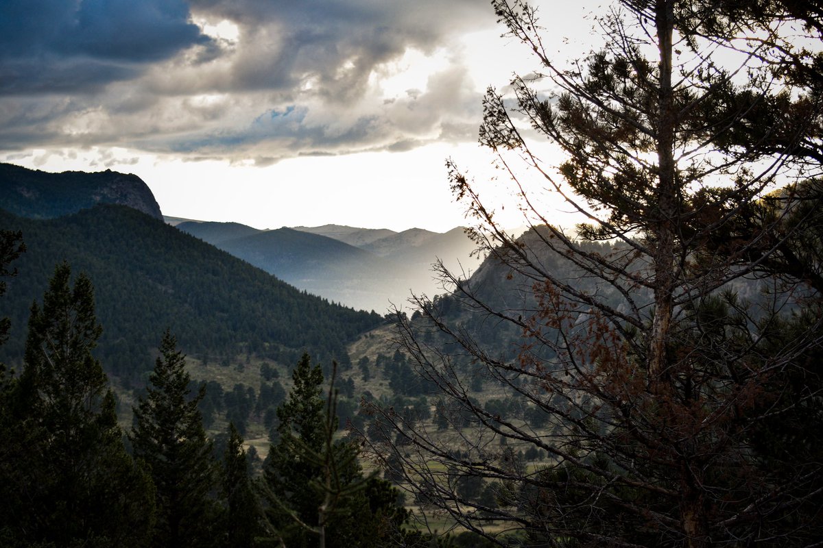 Can’t believe I live in this state now.. was nice touching some grass this Labor Day weekend 🙃
