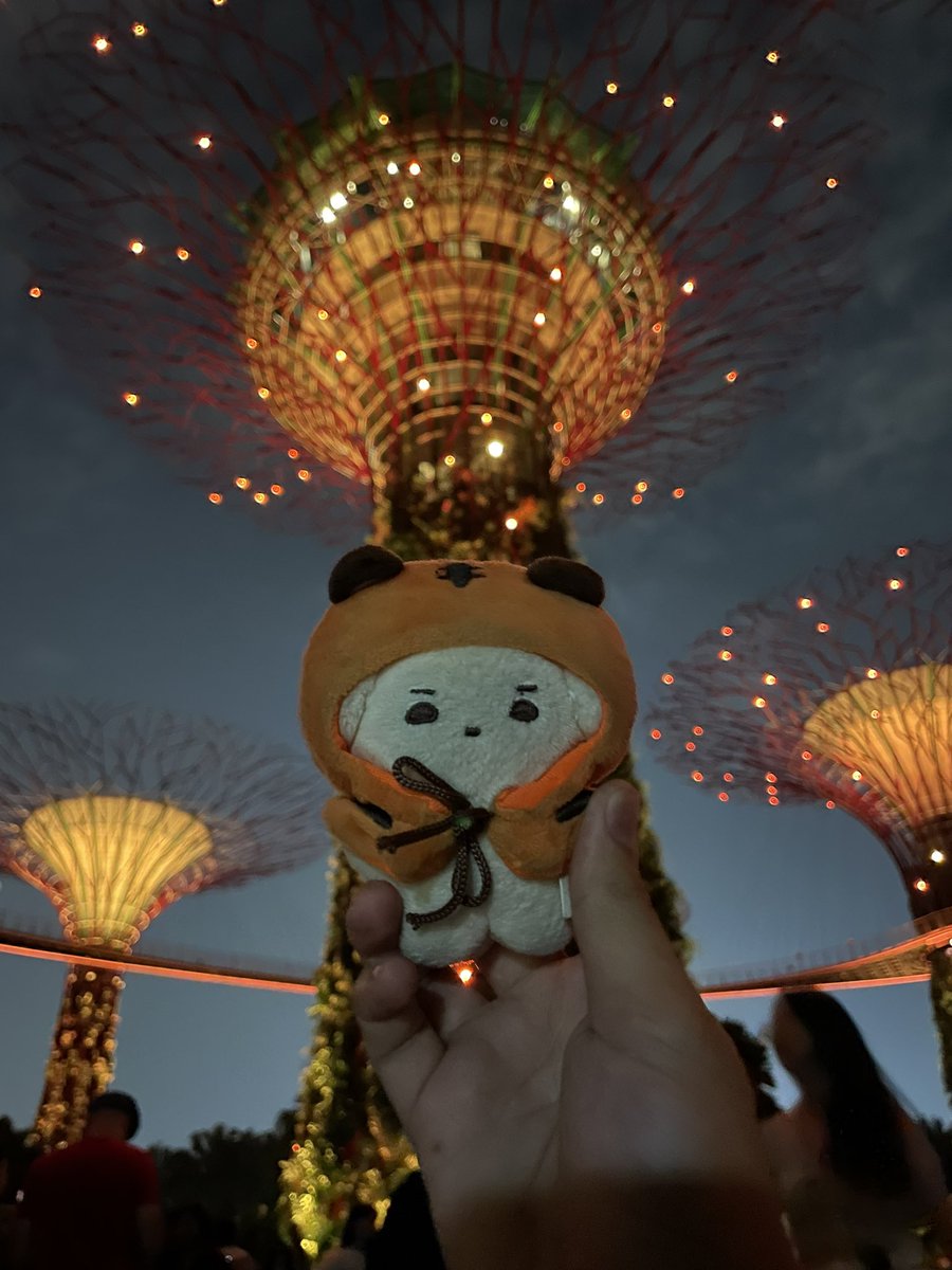 bucket_hat_guy's tweet photo. Mangmang in Singapore https://t.co/930X5G9ZIx