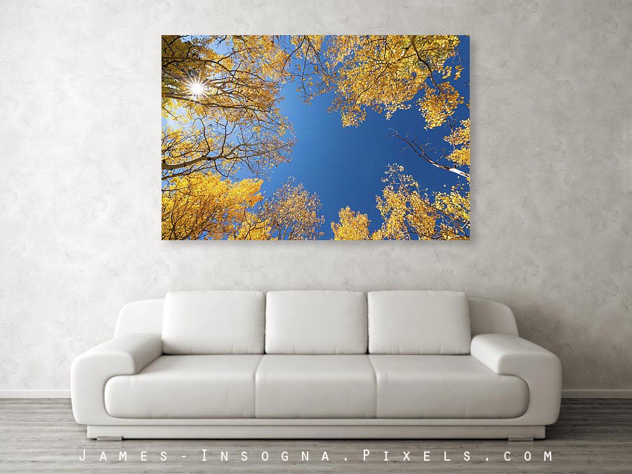 Sunny Day Acrylic Print - In the gallery here - james-insogna.pixels.com/featured/sunny…

#interiordesign #hospitalityinteriors #hospitalitydesign #interiordesigners #interiorideas #fineartphotography