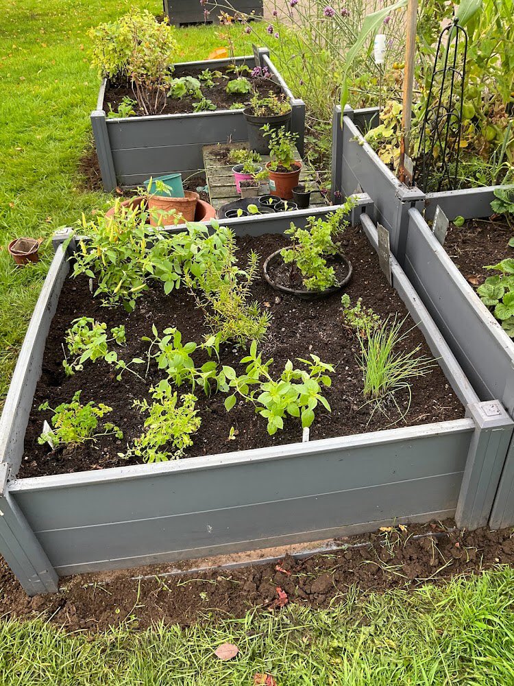 WhitchurchComm1's tweet photo. A successful morning in the community garden. Lots of late summer colour added and a revamped herb garden.  Please help yourself to rosemary, mint, marjoram, parsley, chives, basil and chillies. Perfect for  adding to your cooking or salads #communitygardens #whitchurch #cardiff https://t.co/UWQYFeD4AK