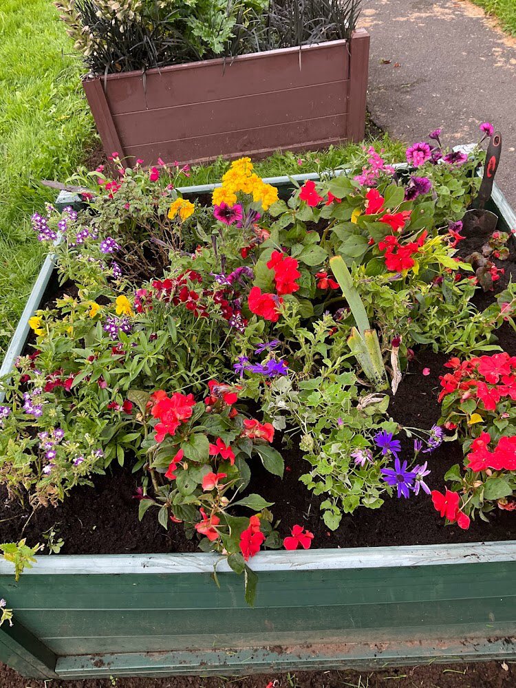 WhitchurchComm1's tweet photo. A successful morning in the community garden. Lots of late summer colour added and a revamped herb garden.  Please help yourself to rosemary, mint, marjoram, parsley, chives, basil and chillies. Perfect for  adding to your cooking or salads #communitygardens #whitchurch #cardiff https://t.co/UWQYFeD4AK