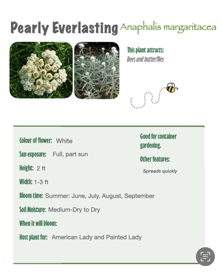 OSEAN_Ottawa's tweet image. We are so excited about the @HuntClubCA fall festival on Sept 9 
We will be giving away free native plants and seeds perfect to build a pollinator’s paradise. We will also be talking our #clothdiapers and #invasivespecies programs hunt-club.ca/event/fall-fes…