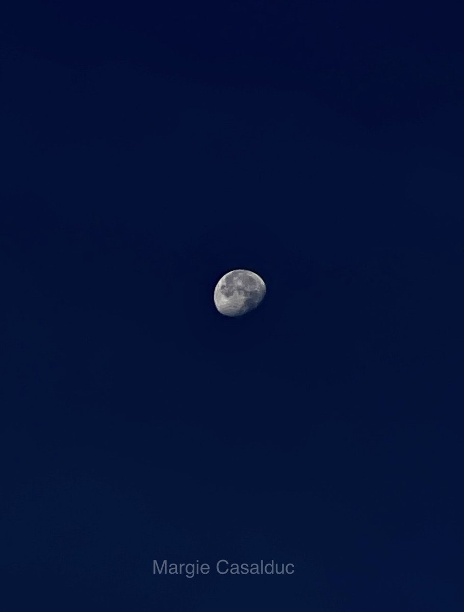 Last night’s moon from Bellevue 😊 @ShannonODKOMO @KSeattleWeather @wheeler244 @RandySmall @abbyacone @KClarkWx @_chelsvane @WestSeaWx @MorganKIRO7 #wawx