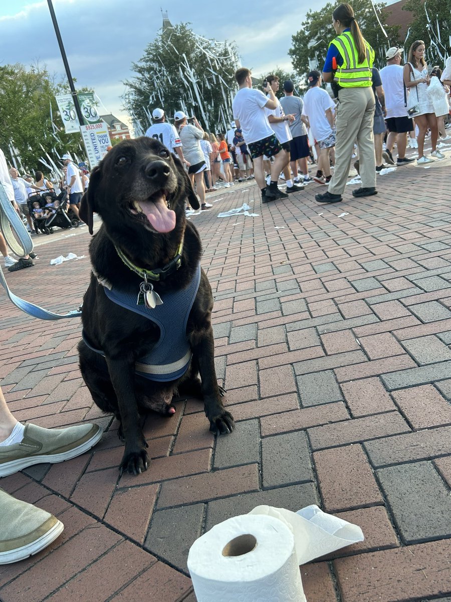 aubieisausome's tweet photo. We’re back to rolling oak trees again!

#AuburnTigers #firstroll #WarEagle #football #SEC https://t.co/pfz2oQJMas