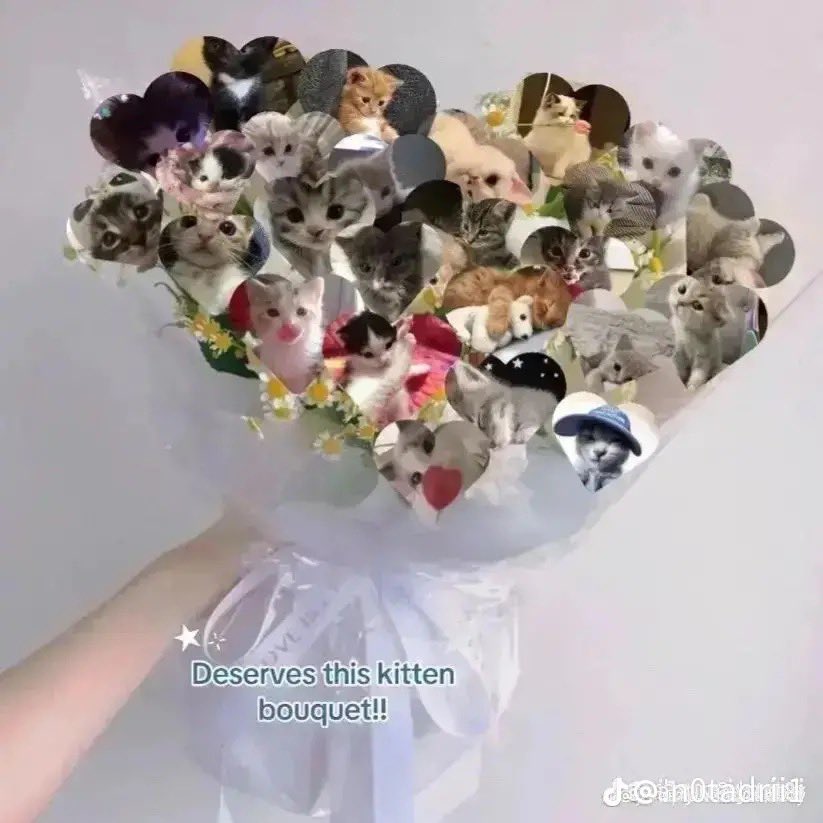 tag someone that deserves this kitty bouquet
