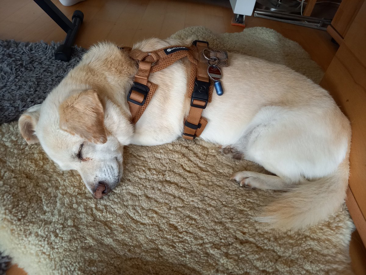 MichelleRobin's tweet image. Gute Nacht!