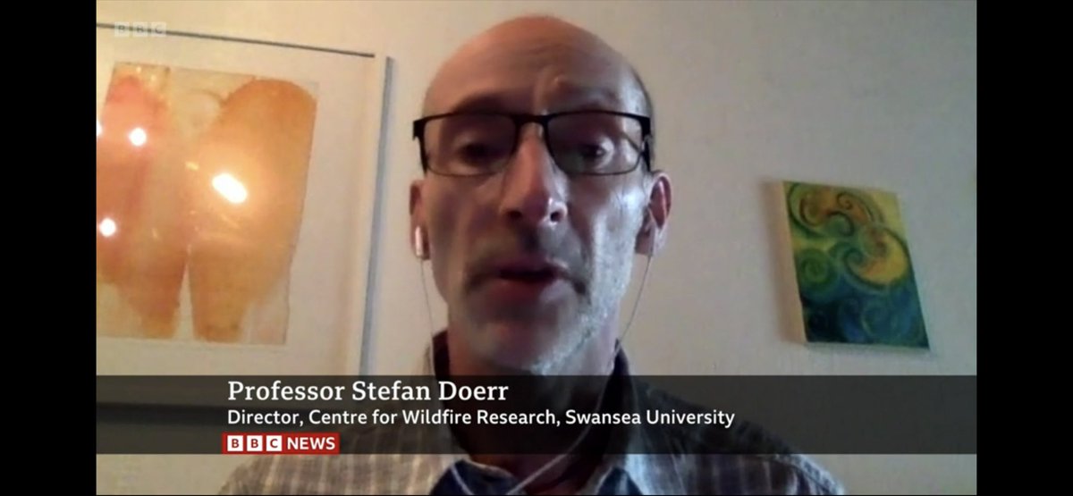 Dr. Gail Millin-Chalabi tweet media