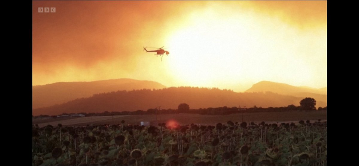 Dr. Gail Millin-Chalabi tweet media