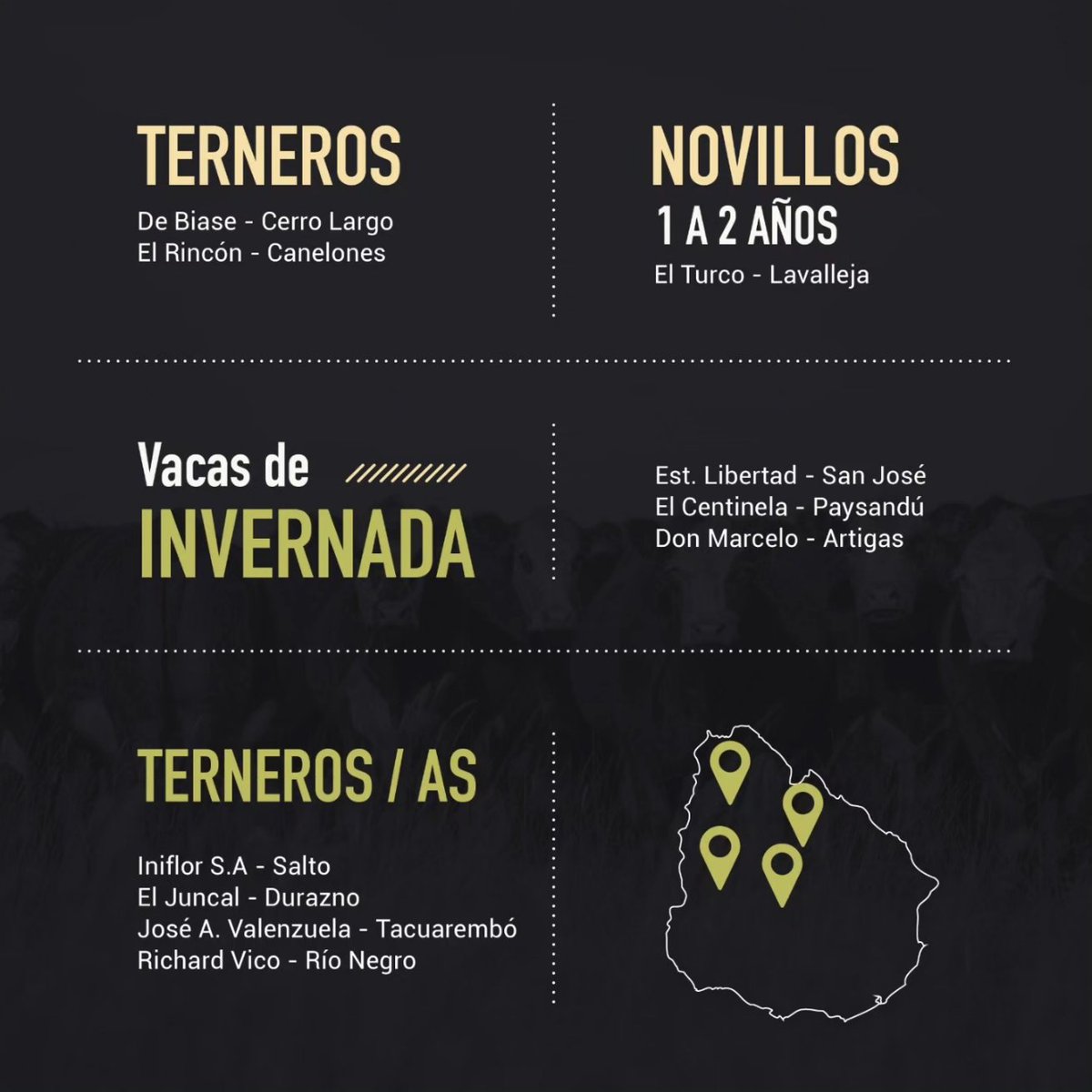victorica_y_aso's tweet photo. Estos son los lotes destacados del Remate 273 de @plazarural 
Vea lotes y preofertas en https://t.co/KlF2XKXkZu https://t.co/ubjO9l1Ixx