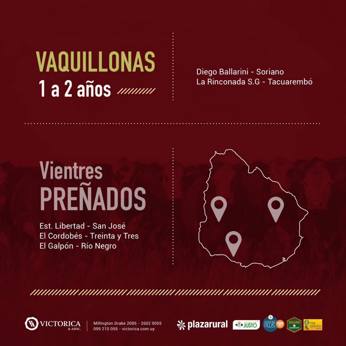 Estos son los lotes destacados del Remate 273 de <a href="/plazarural/">plazarural</a> 
Vea lotes y preofertas en remates.victorica.com.uy