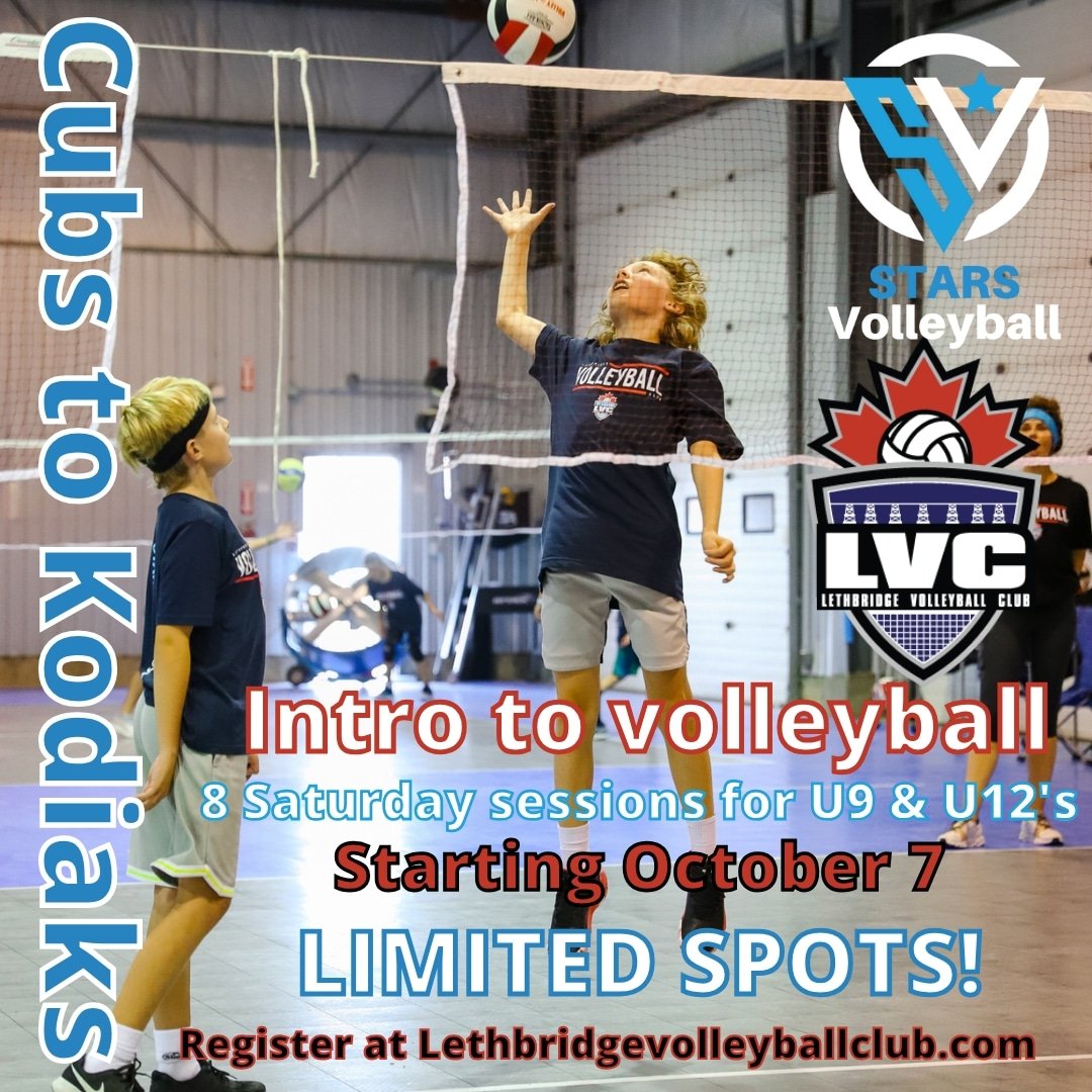 stars_vball's tweet photo. Already 50% filled! 

Don't miss out!

Claim your spot today at https://t.co/p8bxpNo3Xh

#volleyball #grassroots  #development #fun

Photo courtesy of @SpeckyAsh https://t.co/mNfIETClMO