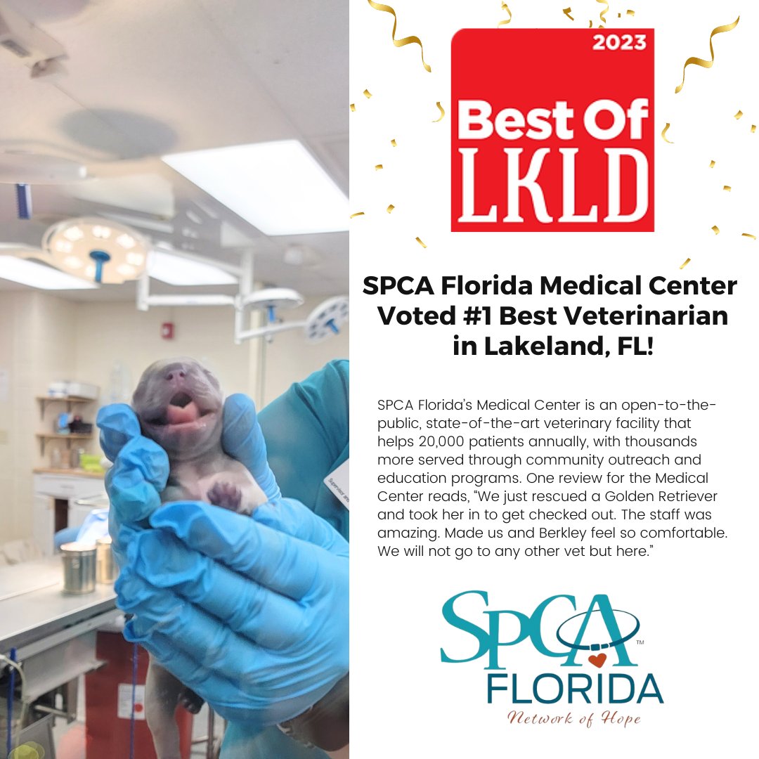 We are excited to announce that SPCA Florida Medical Center has won  #1 BEST VETERINARIAN in Lakeland, FL! We couldn't do it without our amazing veterinarian doctors and staff! 🎉 Thank you to all those who voted! bit.ly/BestLKLD