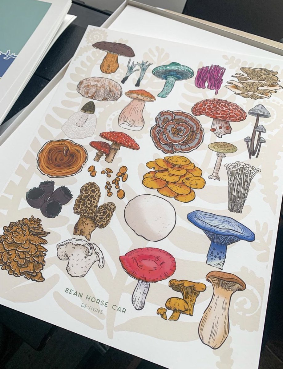 caseyleon83's tweet photo. Some prints just look much better at 11x14 https://t.co/QwbjNWtGzE