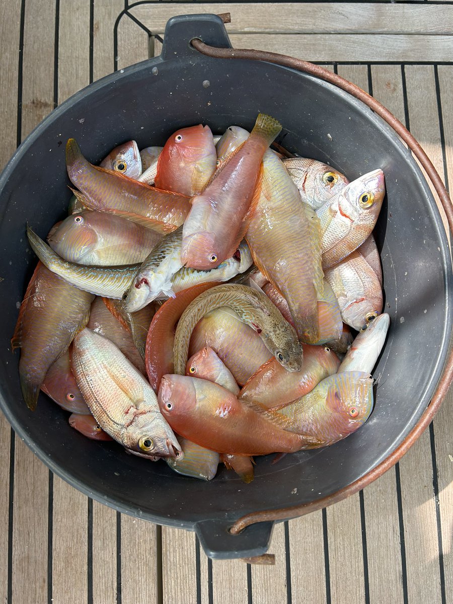 jcamposasensi's tweet photo. Fin de semana de pesca con buena gente. #raons #productolocal 🇪🇸 https://t.co/YXNgBkXMu9