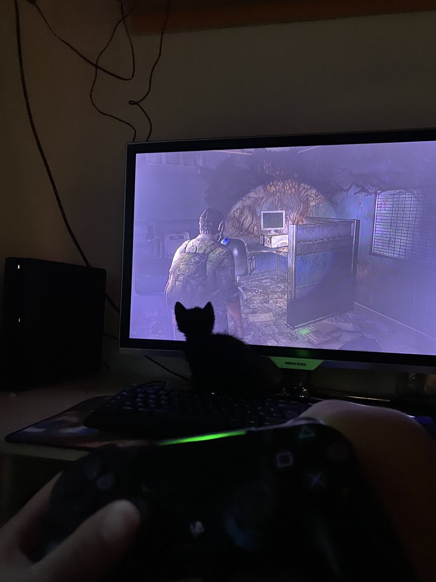 lella_cb's tweet image. 💕

#catgamer 
#minicat