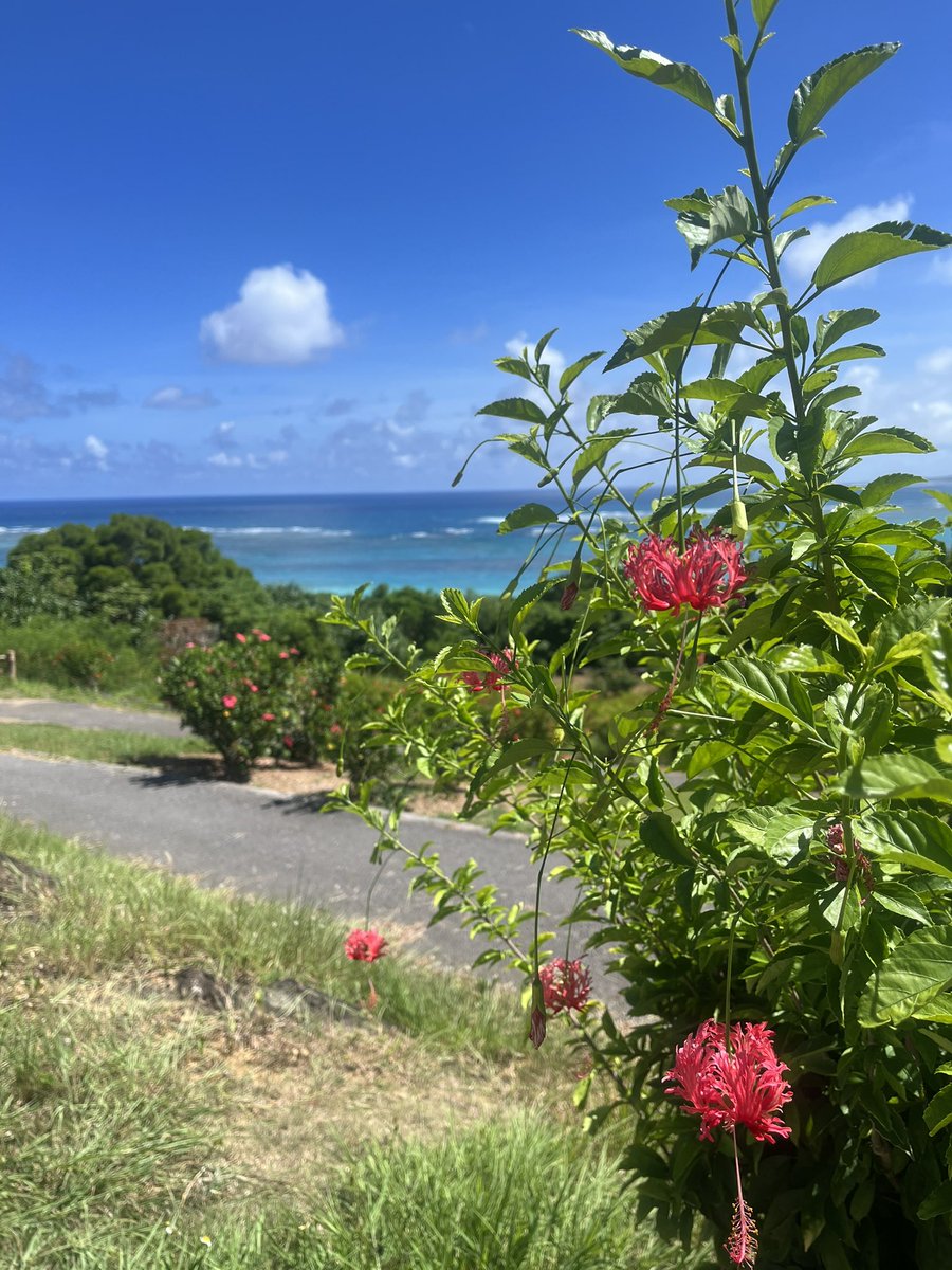 yuiyuiyuimaru23's tweet image. 夏季休暇で久々に1週間ほど地元帰ってダラダラ過ごしてた。

今日からまた仕事だけど、心底週5で働きたくないと思う月曜の朝_(:3 」∠)_

でもまぁ、頑張りますか。