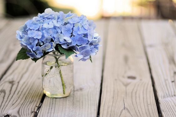 긍정의 단어들 tweet media