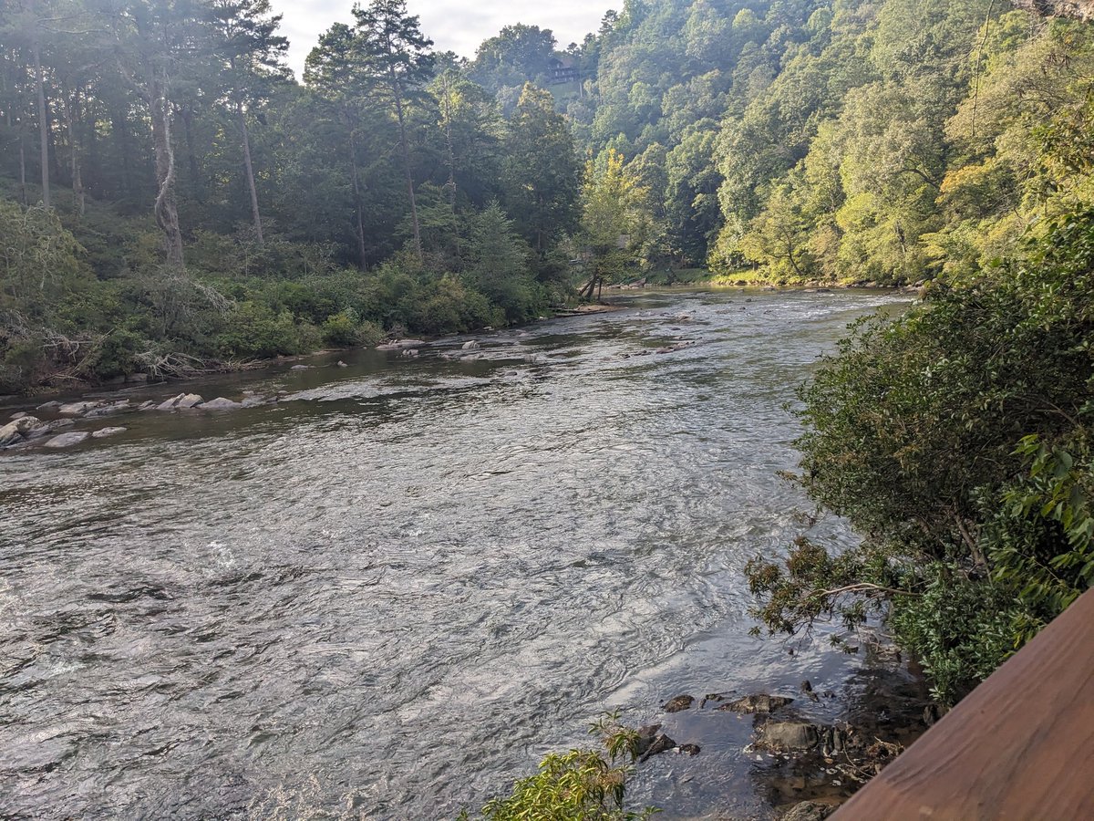LBoydEDU's tweet image. Reading The Heaven and Earth Grocery Store, enjoying the sounds of the water and trying not to be distracted by the view of the river canyon. #APEng #APLit #APSem