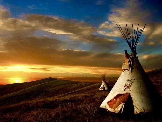 So, contrary to popular belief, I do not hate white people, though I have every justifiable reason to. Also, I’ve lived long enough to know that a few bad apples (Florida Nazis) do not represent their entire demographic. So, for my white allies who choose to rise above bigotry