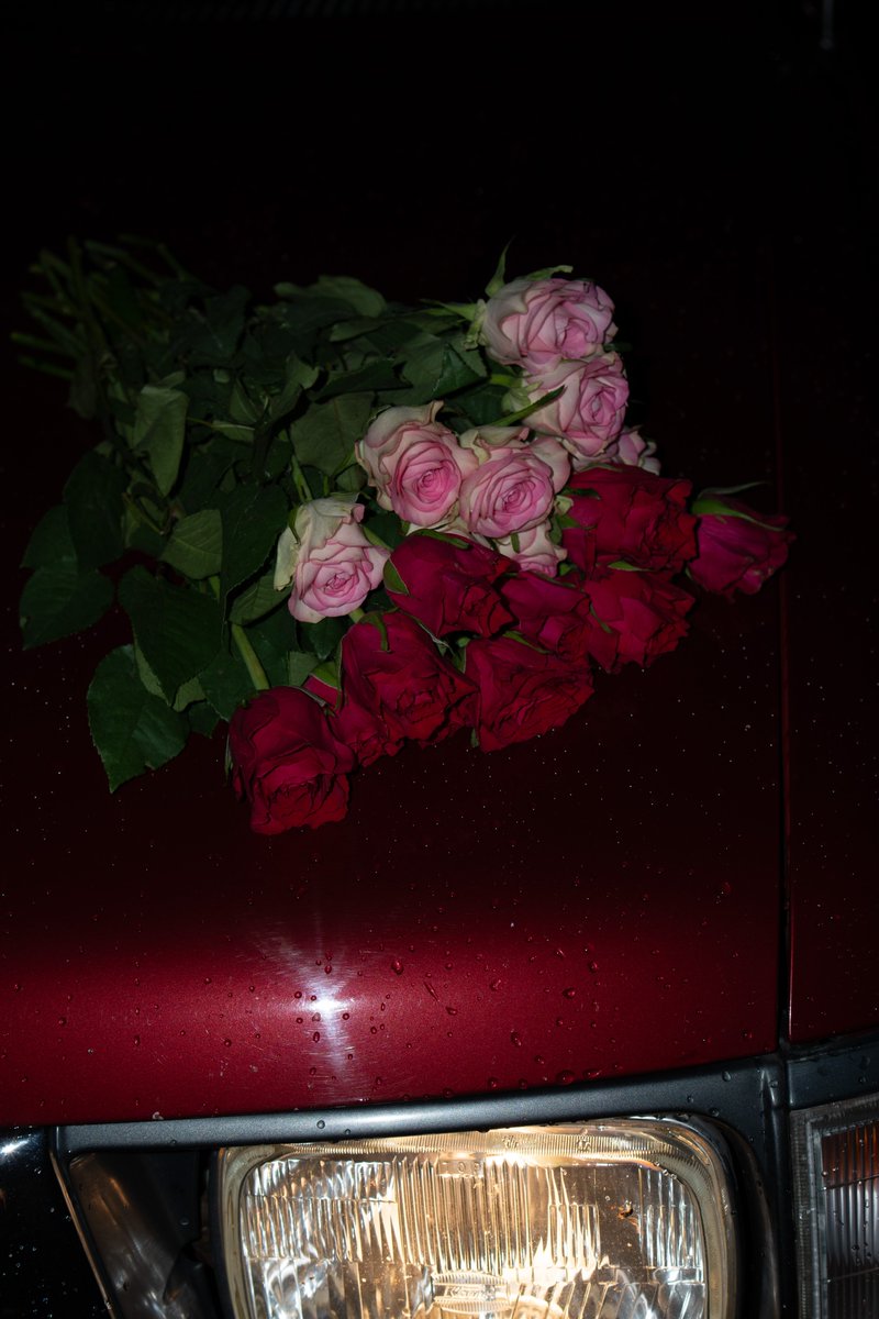 Música En Palabras tweet media