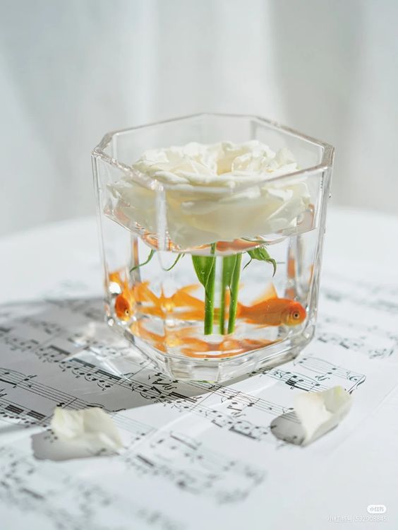 긍정의 단어들 tweet media