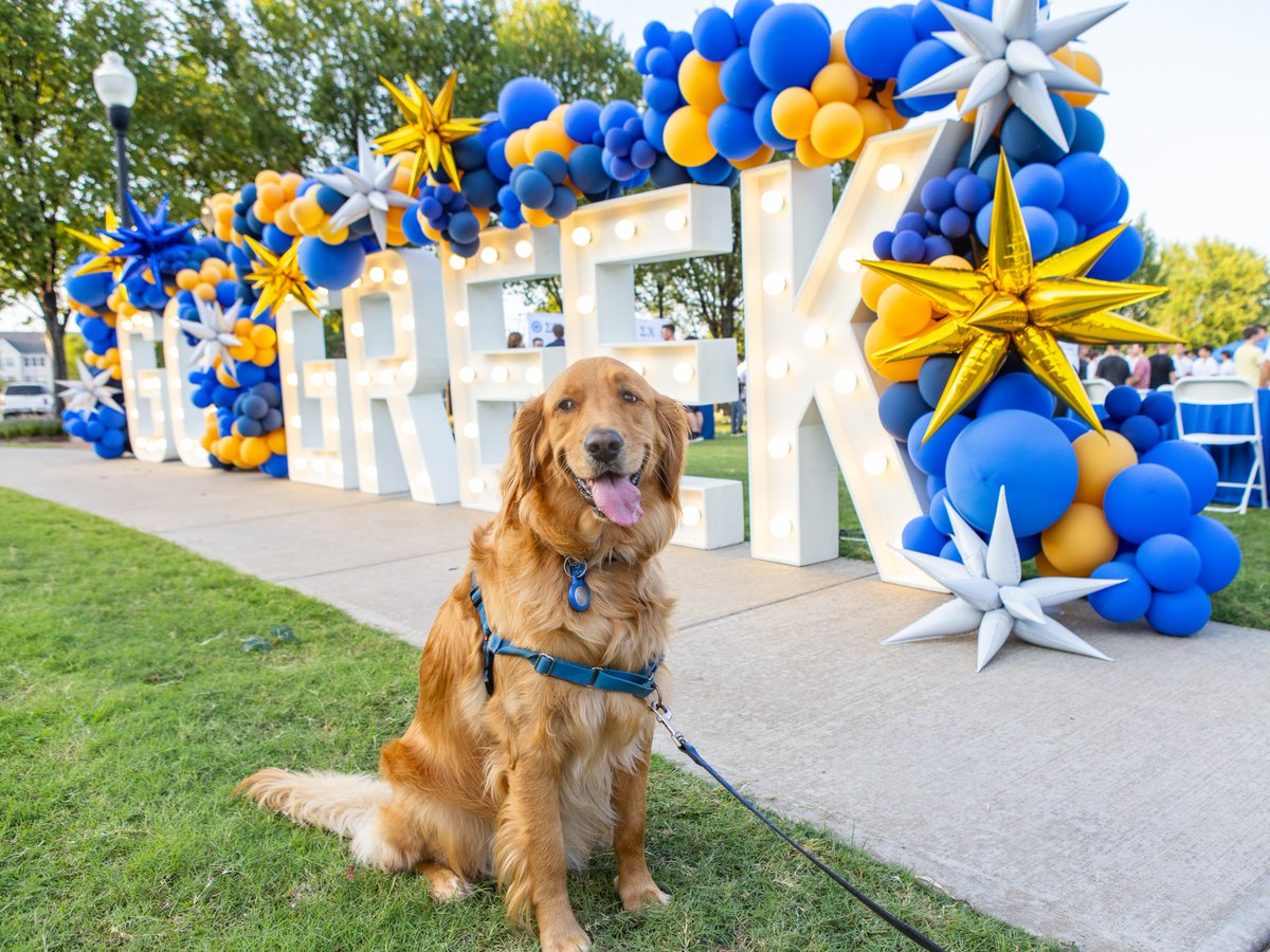 The University of Tulsa tweet media