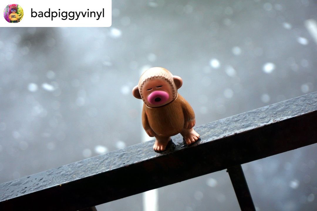 harikenjp's tweet photo. Arigato your photo🙈❄️

#SARE #サレ
#ソフビ

@badpiggyvinyl Snowing ❄

#hariken #madpandafactory #sofubi #softvinyl #softvinyltoy #arttoy #toyart #toycollector #toycollection #toyphoto #toyphotography https://t.co/I8vPIhUO2n