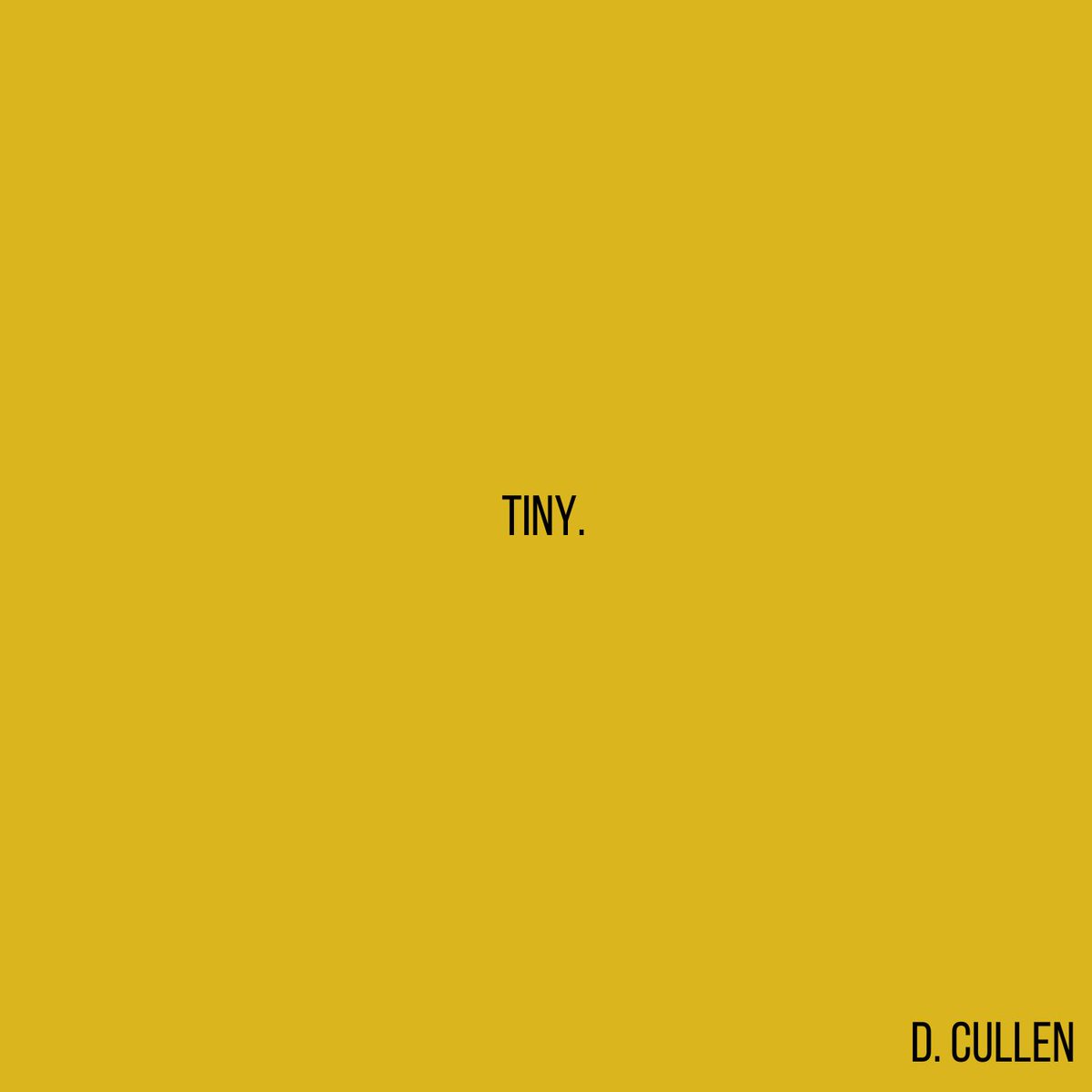 NEW MUSIC ANNOUNCEMENT I am so happy to announce that my new EP, 'Tiny', is out on September 22nd, and is available for Pre-Order now! We have Limited Edition CD's available on my website now (100 copies only!), so pre-order now and get 'em before they go! dcullenmusic.com/shop