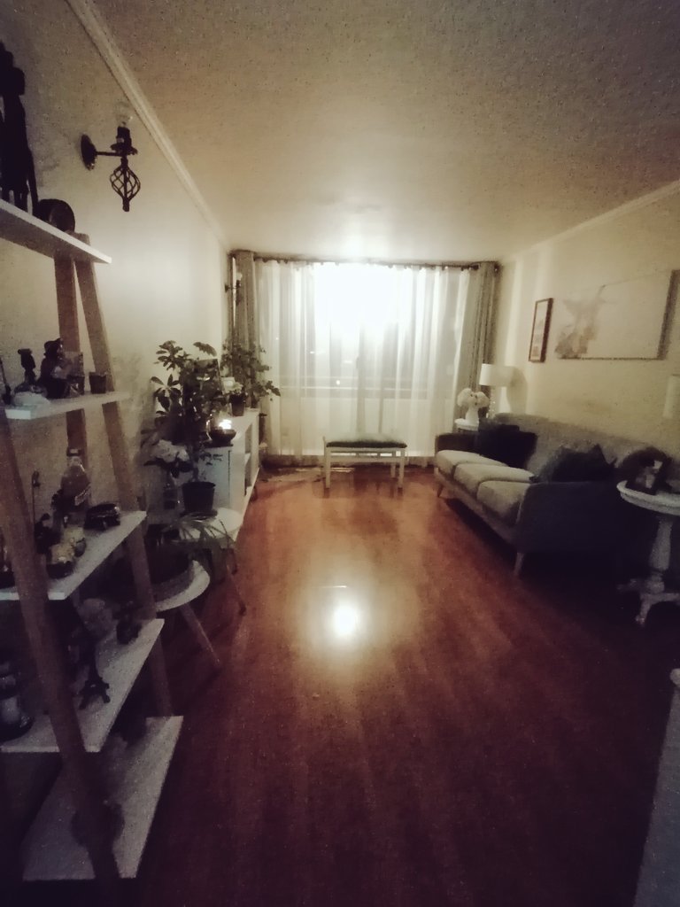 Picarona666's tweet photo. Mejores 8 lukas gastados! Me encanto como dejo el piso brillante! 😊😊

#DatoSoa https://t.co/35DAh8g2wR