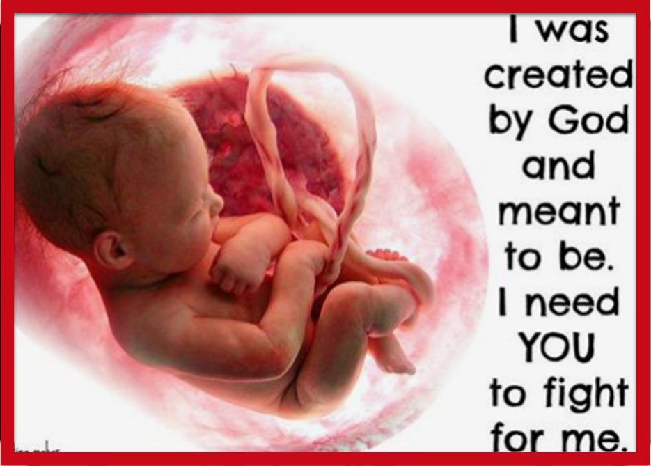 🇺🇸Pro-life 🚂731 🇺🇸Patriots @Lisahudsonchow7 @ActionForLifeFL @GoldenWing2022 @MagaPatriotHM @TheGrayRider @stevealex140 @fieryglimmer @PNTXforever @MarkyBadger @FFTruth1776 @bestfelaz96 @Pat300000 @JoTrumpCA @bw1832023 @Rammie24 @TAG2335 @ren3927 @jncojok @LR2552 @4_0GTS @827js