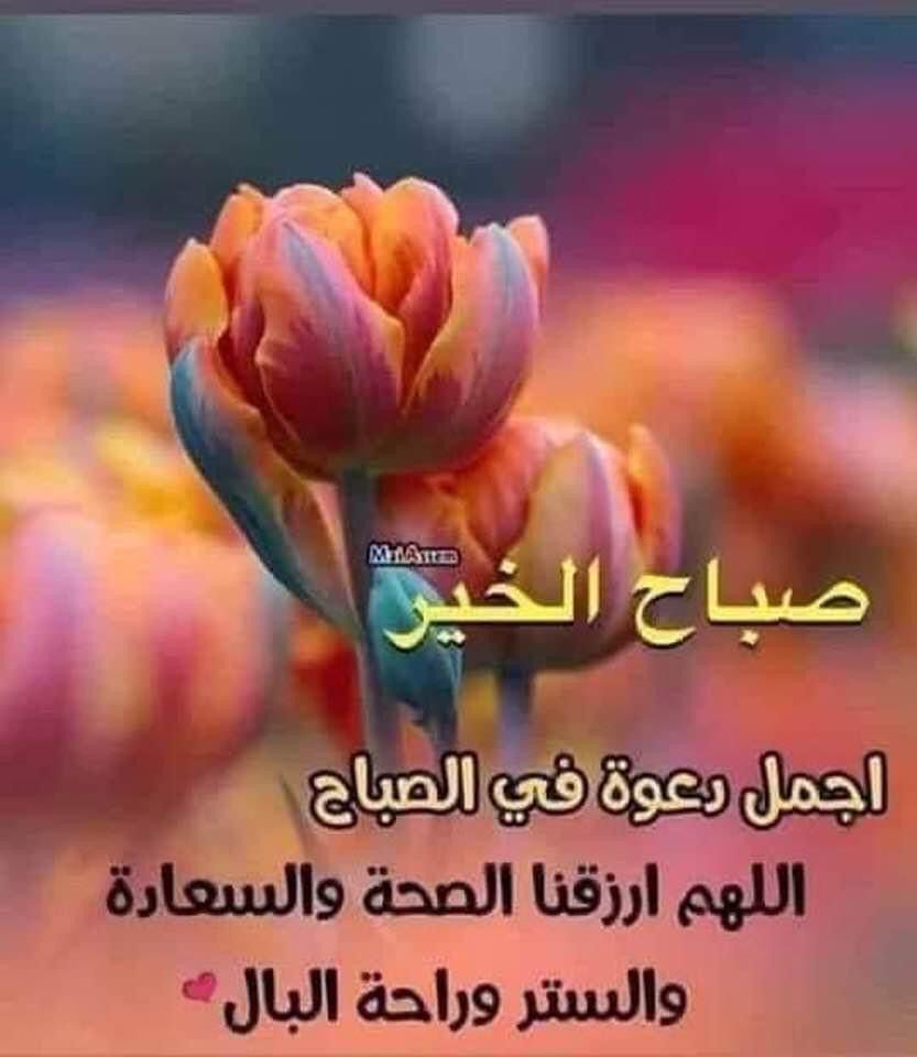 Jamal AlMorshdi tweet media