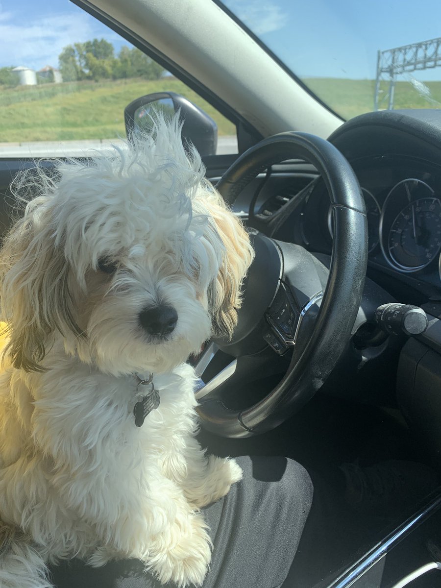 Road trip to Indiana to watch my bro play 🏈!