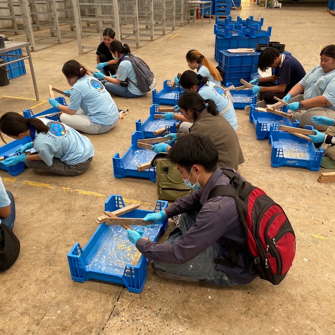 Flylab14's tweet photo. We were thrilled to host students from Maejo University's Faculty of Agricultural Production at our Flylab! 🐛

It was exciting to see the student's enthusiasm for the project and interest in learning more about sustainability and the role of the black soldier fly. 🌿 https://t.co/AvCvyehYWd