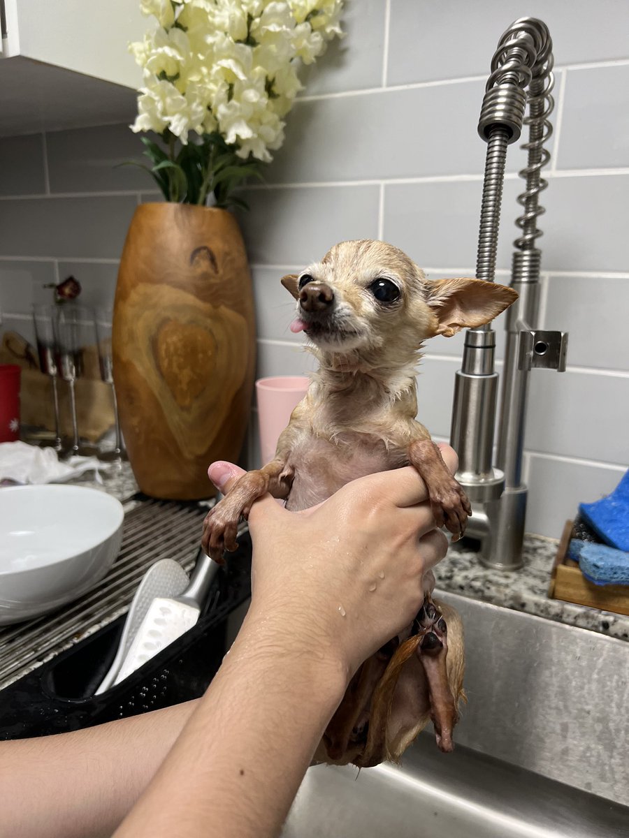 🫶🏻 tweet media