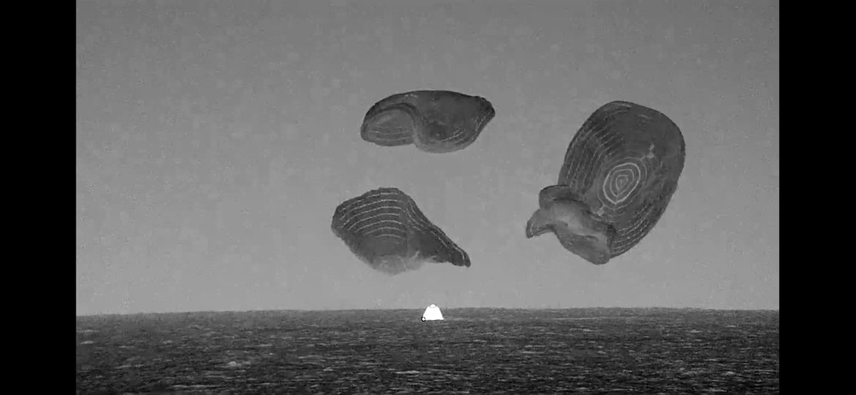 FOMOMoonGlow's tweet image. Splashdown! #science #spacex #dragoncapsule #nasa