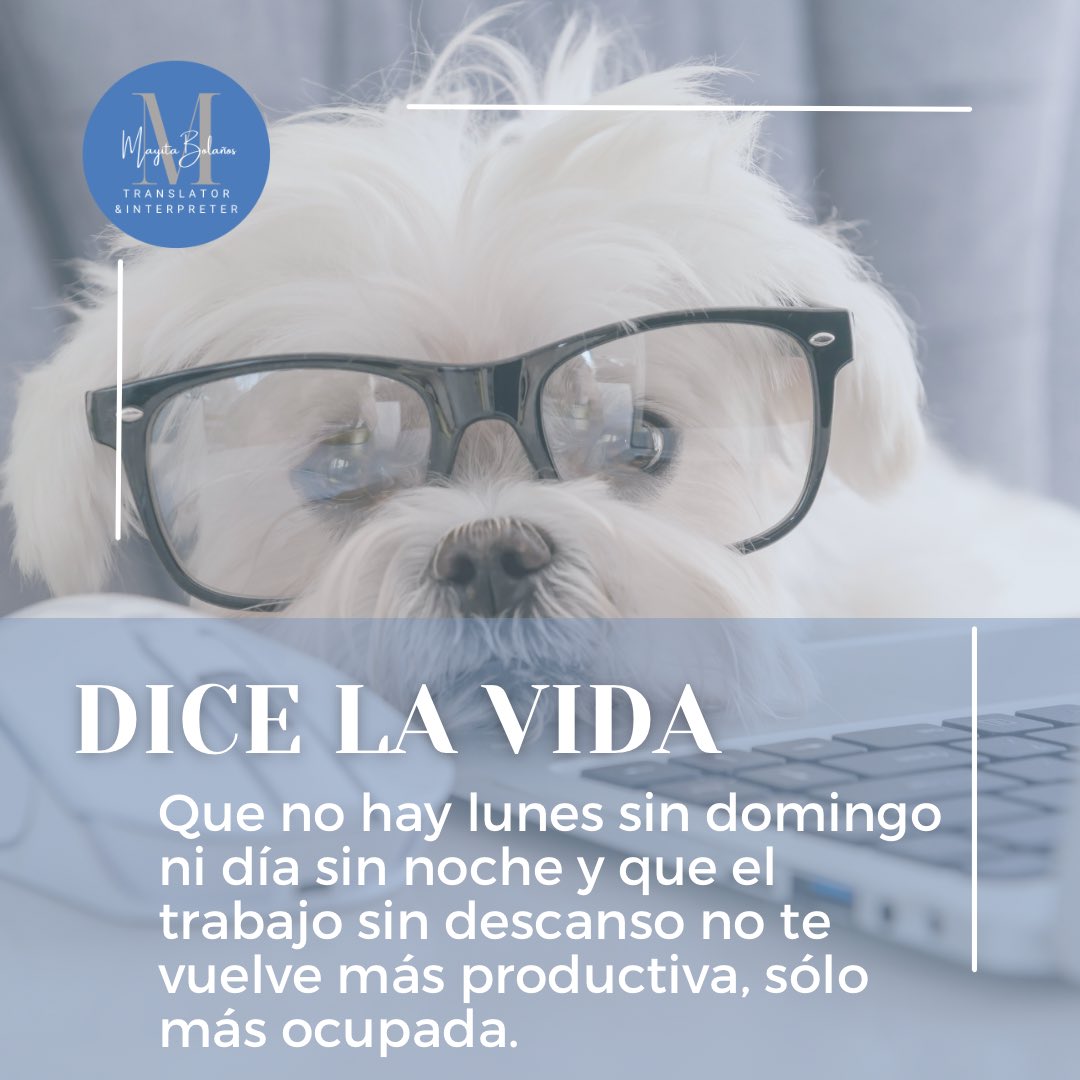 mayitab's tweet photo. Aprendí que productiva jamás será sinónimo de ocupada, así que me encanta un buen domingo de descanso que le sonríe al lunes en señal de gratitud 💙 https://t.co/p2hh32v762