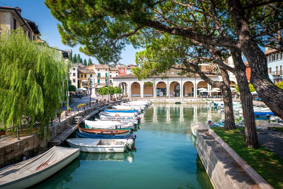 🇮🇹 Desenzano del Garda, Brescia, Lombardia
📷 Kamila Lach

#desenzanodelgarda #brescia #lombardia #lagogarda #lakegarda #beautiful #belvedere #beautifulday #travel #travelplace #travelphoto #italy #italytrip #italytravel #italyiloveyou #italia #italytour #italyintheheart