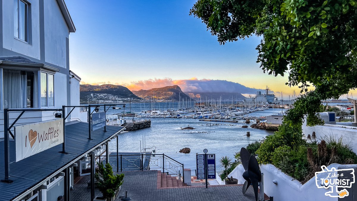 MarkSham's tweet photo. I have so much love for the wonderful Simon's Town! When most people visit Cape Town, they don't always make the time to explore Simon's Town and surrounds. I was in Cape Town a few weeks ago and I drove the roughly 40km from the city centre because this place holds a sentimental place in my heart! These four pictures I took will hopefully give you a glimpse into the beauty of Simon's Town alongside a bit more info from me. 

✅ Simon's Town is the residence of the South African navy and steeped in nautical history - its cobbled streets come alive with restored cottages and homes, whilst the main road is an assortment of shops, coffee shops and restaurants.

✅ Simon’s Town’s historical mile, St George’s Street, has 21 buildings over 150 years’ old and includes a local museum, the navy museum and a toy museum.

✅ "Just Nuisance" is the world famous dog who was awarded the title of Able Seaman in the Royal Navy. A life size bronze statue of this legendary Great Dane stands proud in Jubilee Square in front of the hotel.

✅ Boulders Beach is home to an African penguin colony but I actually snapped the picture of them on Seaforth Beach. 

I could tell you so much more but you have to go visit for yourself ❤️