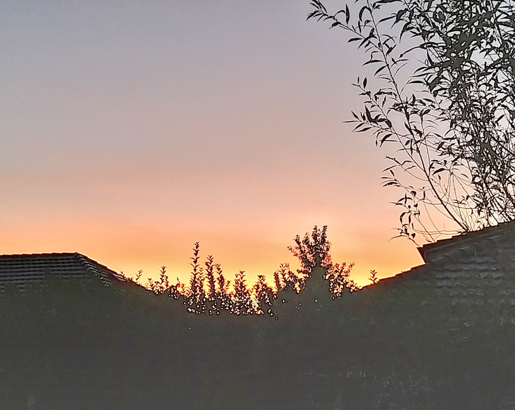 Early in the morning and late at night: editing the hell out of my MS. That's the first half of my week done. Wishing you all in the #5amwritersclub and the whole #WritingCommunity a grand start of this brand new week!

#scifi #softscifi #SFF #amediting #MondayMotivation