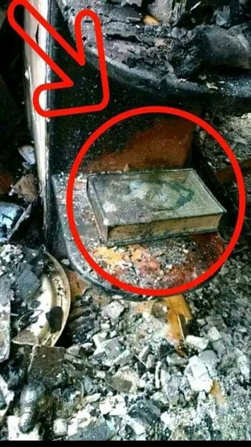 Allah says He has revealed the Quran and He will protect it (15:9)❤️🙏.

Quote this post with “ALLAHU AKBAR❤️”
