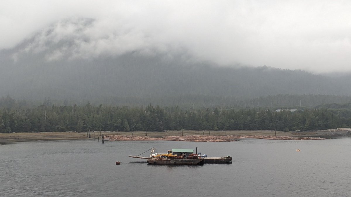 Post a picture from your phone that could be from a horror movie