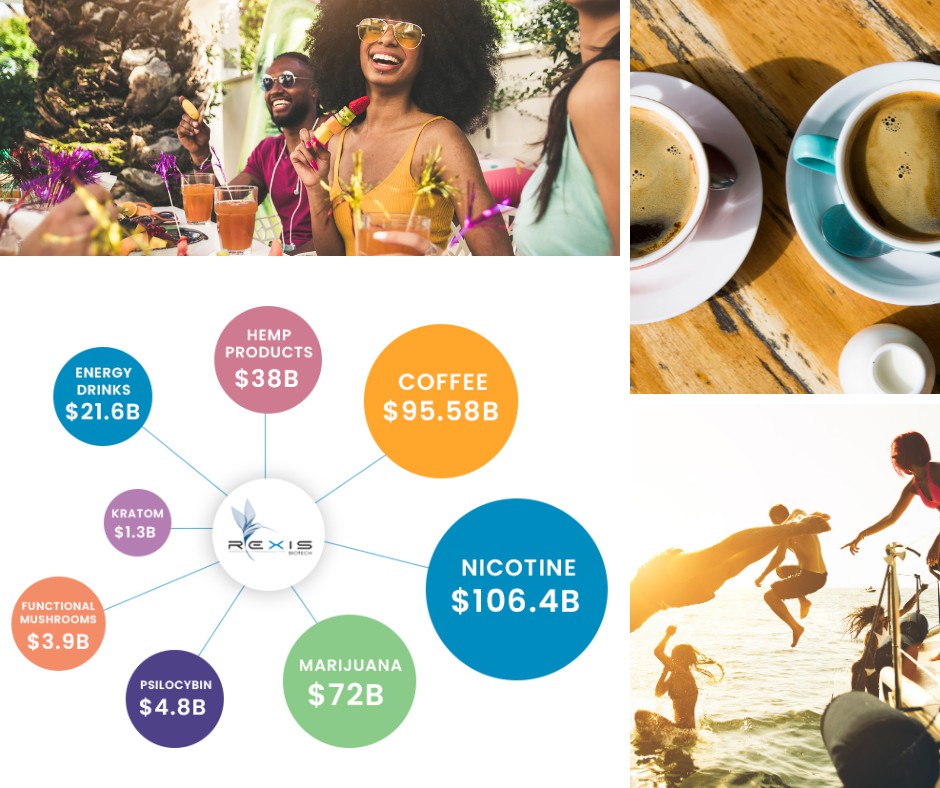 VikiBennett's tweet image. By adding it all together, we ended up with what we have today, which is an astounding way to turn hydrophobic molecules into a hydrophilic molecules, so water absorbing molecules.

Read more 👉 lttr.ai/AGXGV

#WefunderCampaign #GrowthCapital #PlatformTechnology