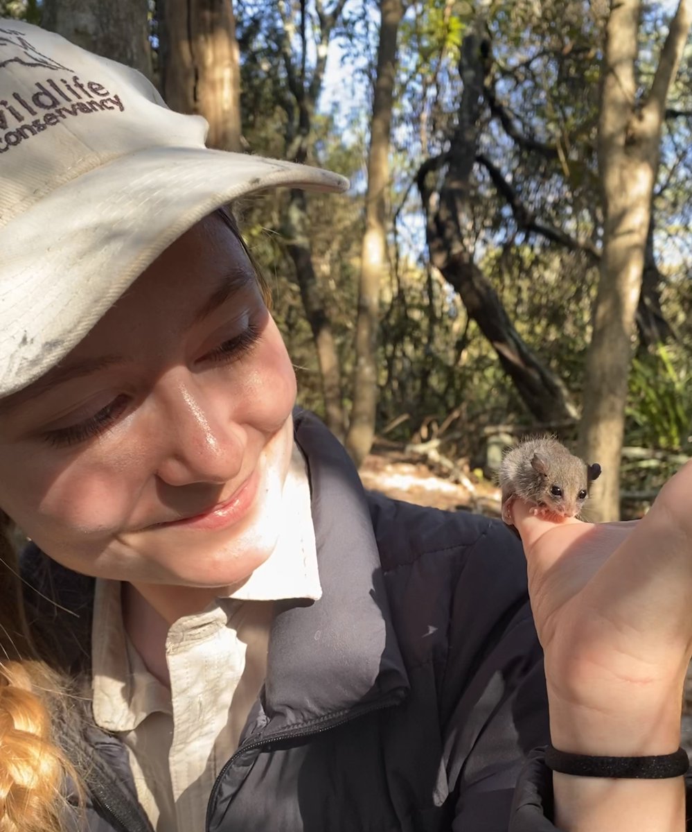 Australian Wildlife Conservancy tweet media