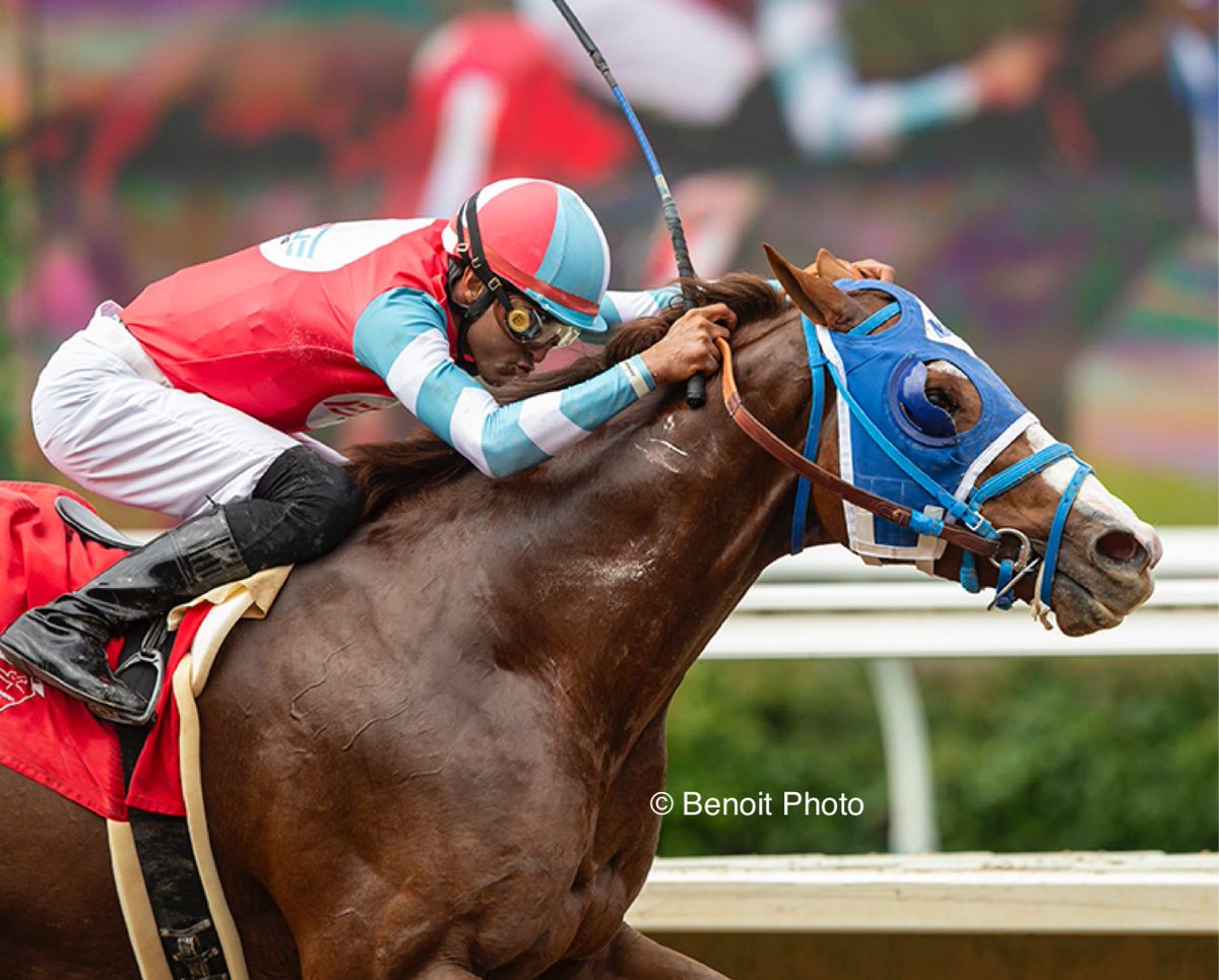 benoitphoto_'s tweet photo. Congratulations to the partners of @EdgeRacing_ on Celestial Moon’s win today at Del Mar! 

View more photos of today’s winners in the link in our bio. https://t.co/XYbbeAvr60