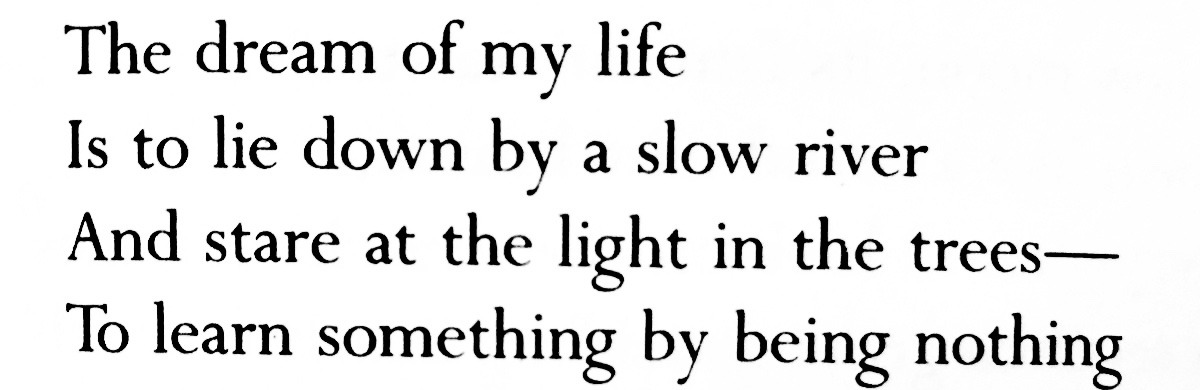 the last line &gt;